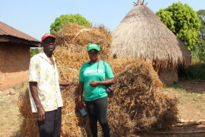 Read more about the article <em>WHAT IS SMALLHOLDER FARMING?</em>